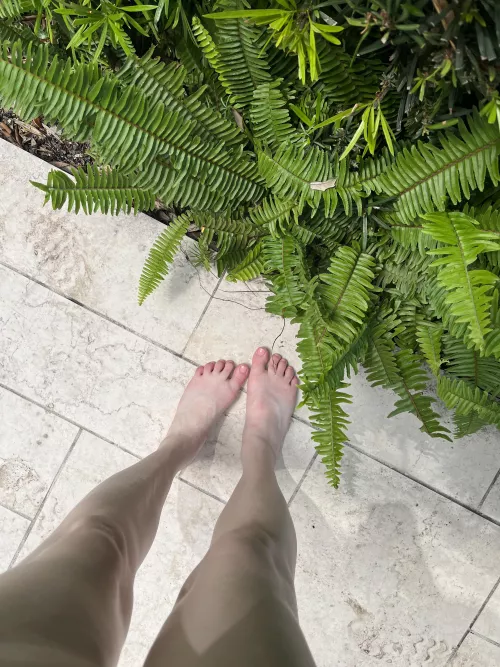 let’s have some fun 🤩