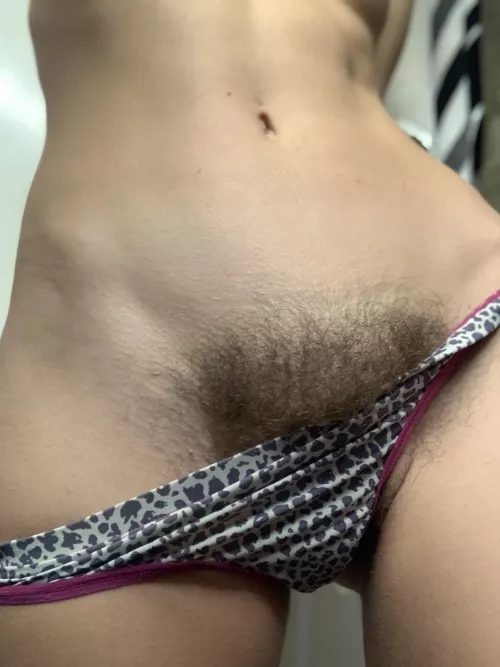 Let’s keep it furry