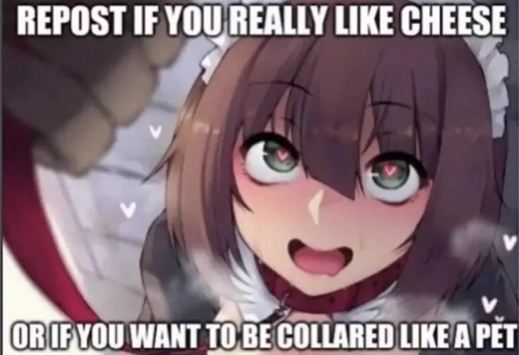 LF Color Source: