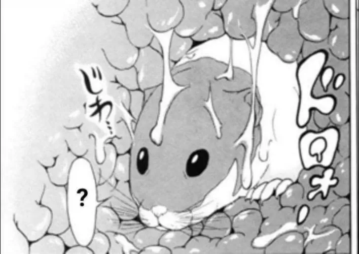 LF Mono Source: