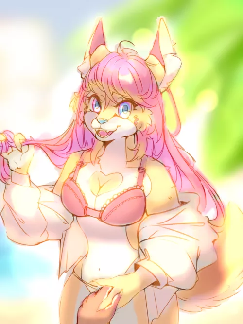 light and color training in the new program I'm using