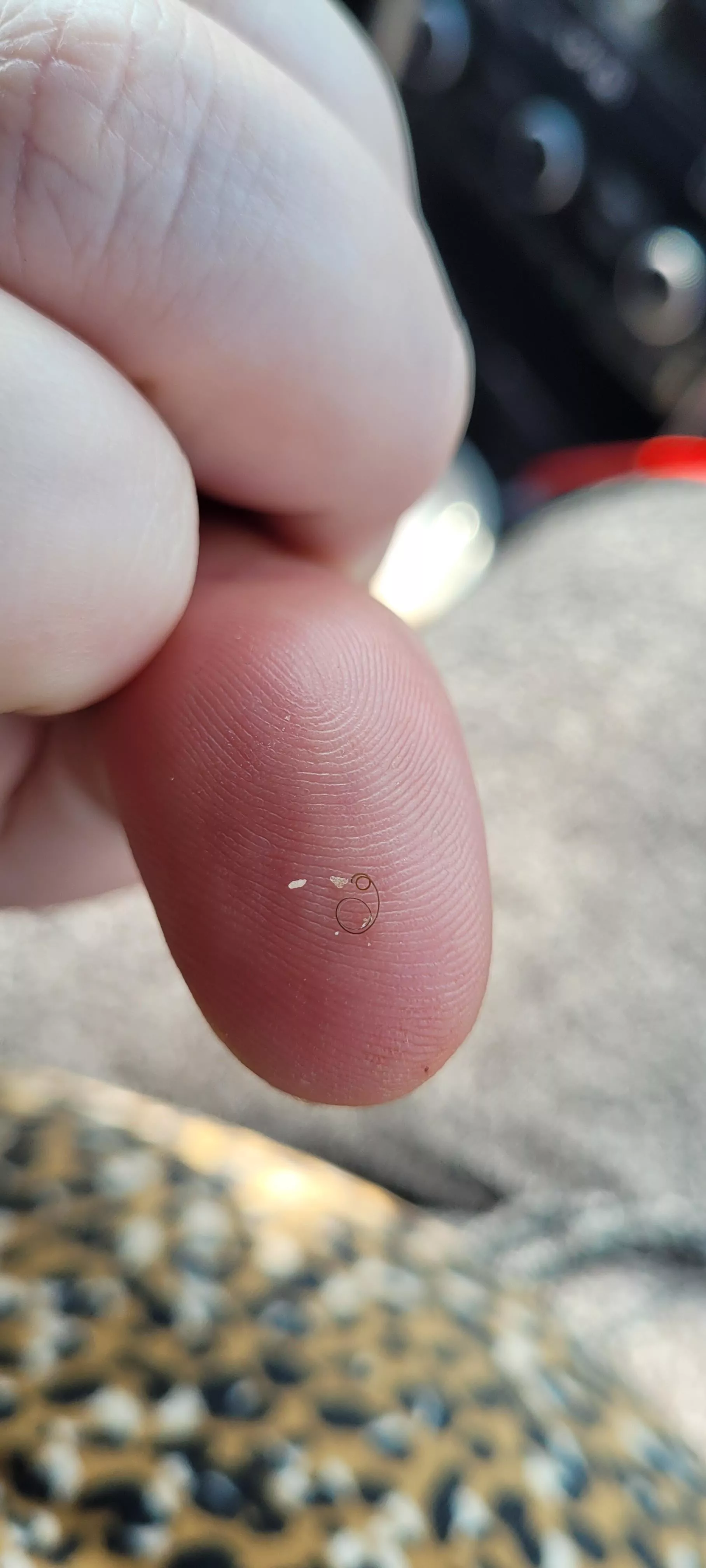 Little curly hair I pulled from my chin!