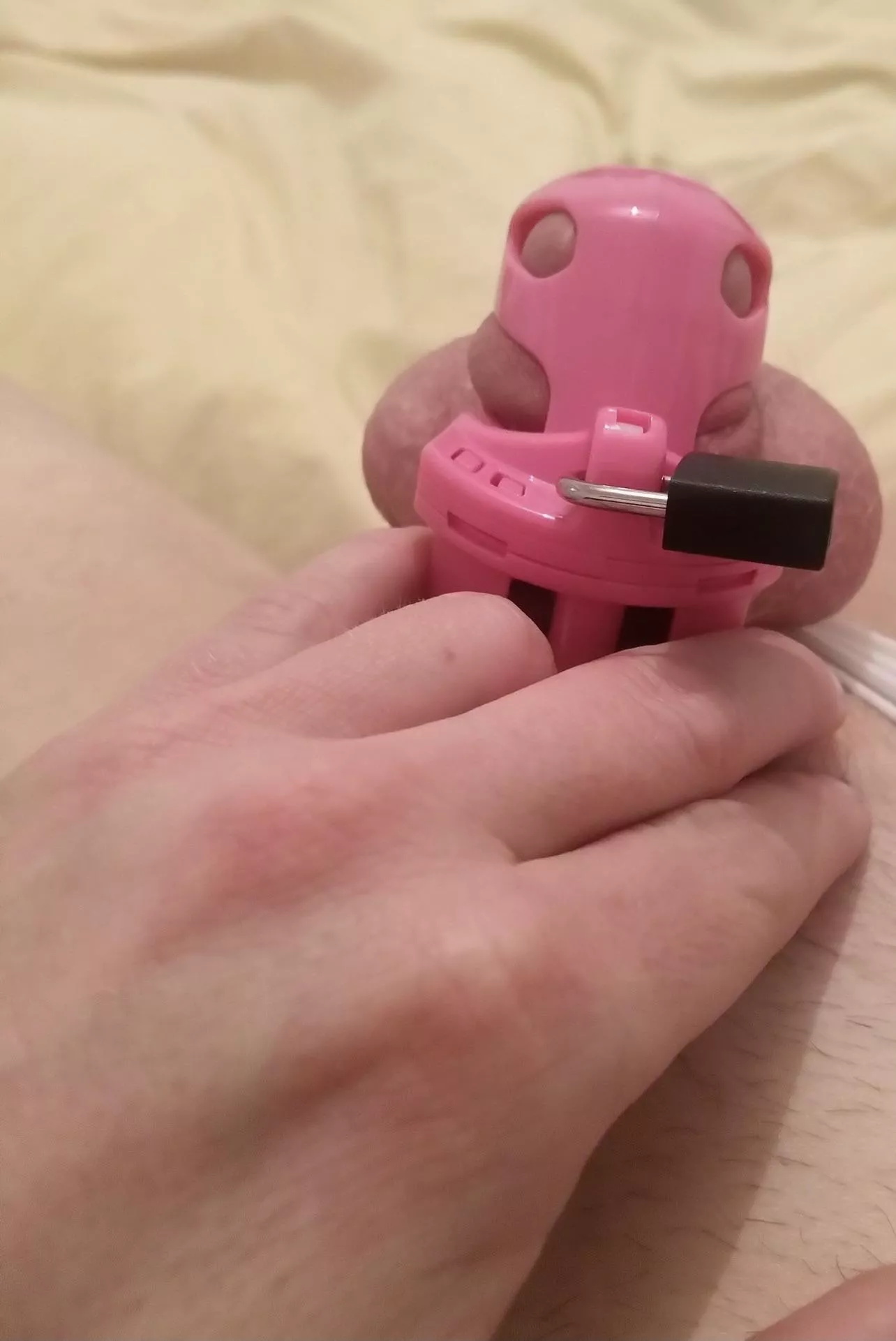 Locked and straining- listening to her moan with her bull