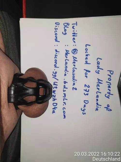 locked for 273 days and ongoing