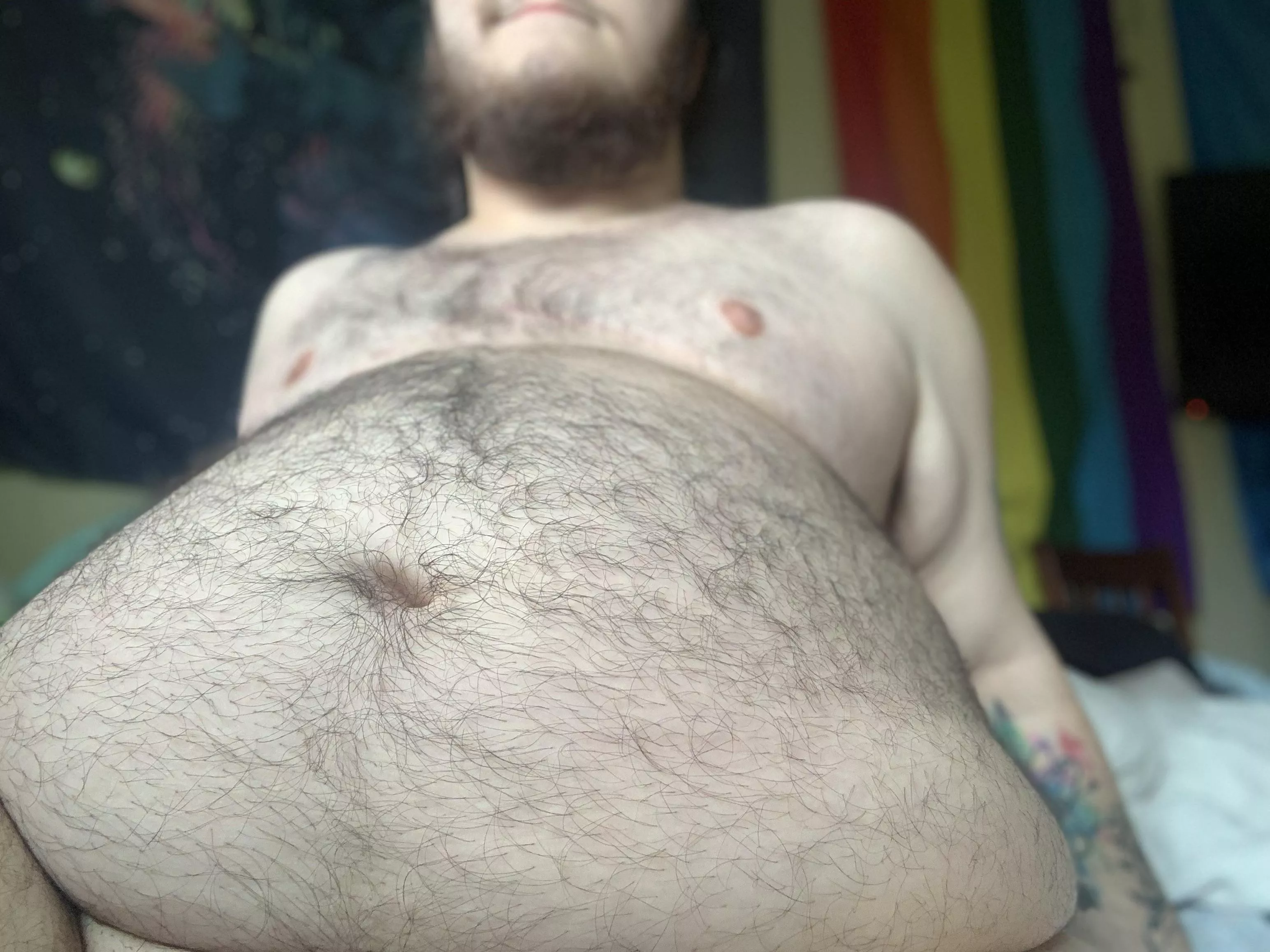 looking for someone to rub my belly after buying me dinner