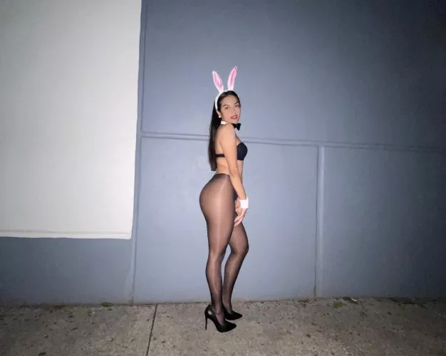 lost rabbit in the city 😘