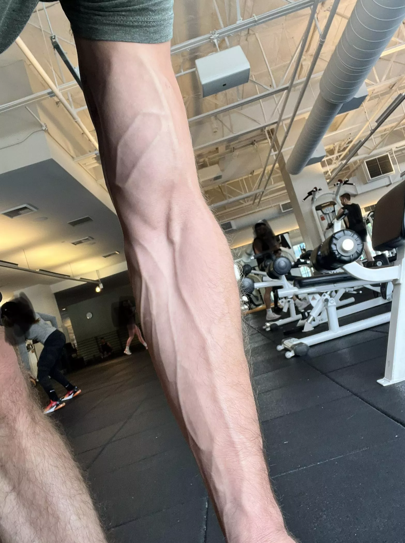 lotta veins