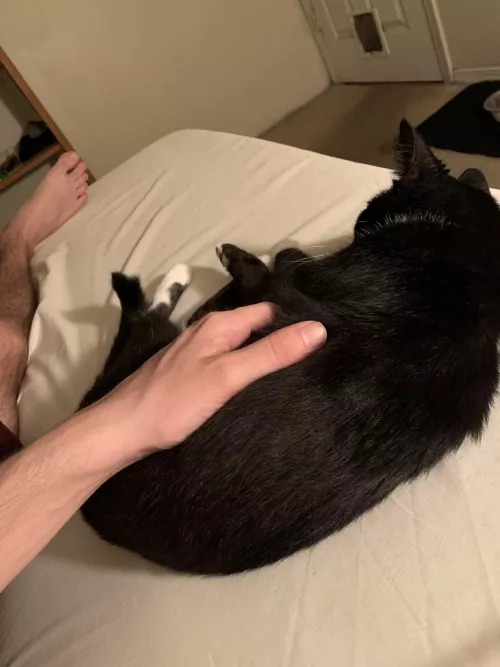 Love sending innocent pics to my straight bros with a foot in there somehow 😏