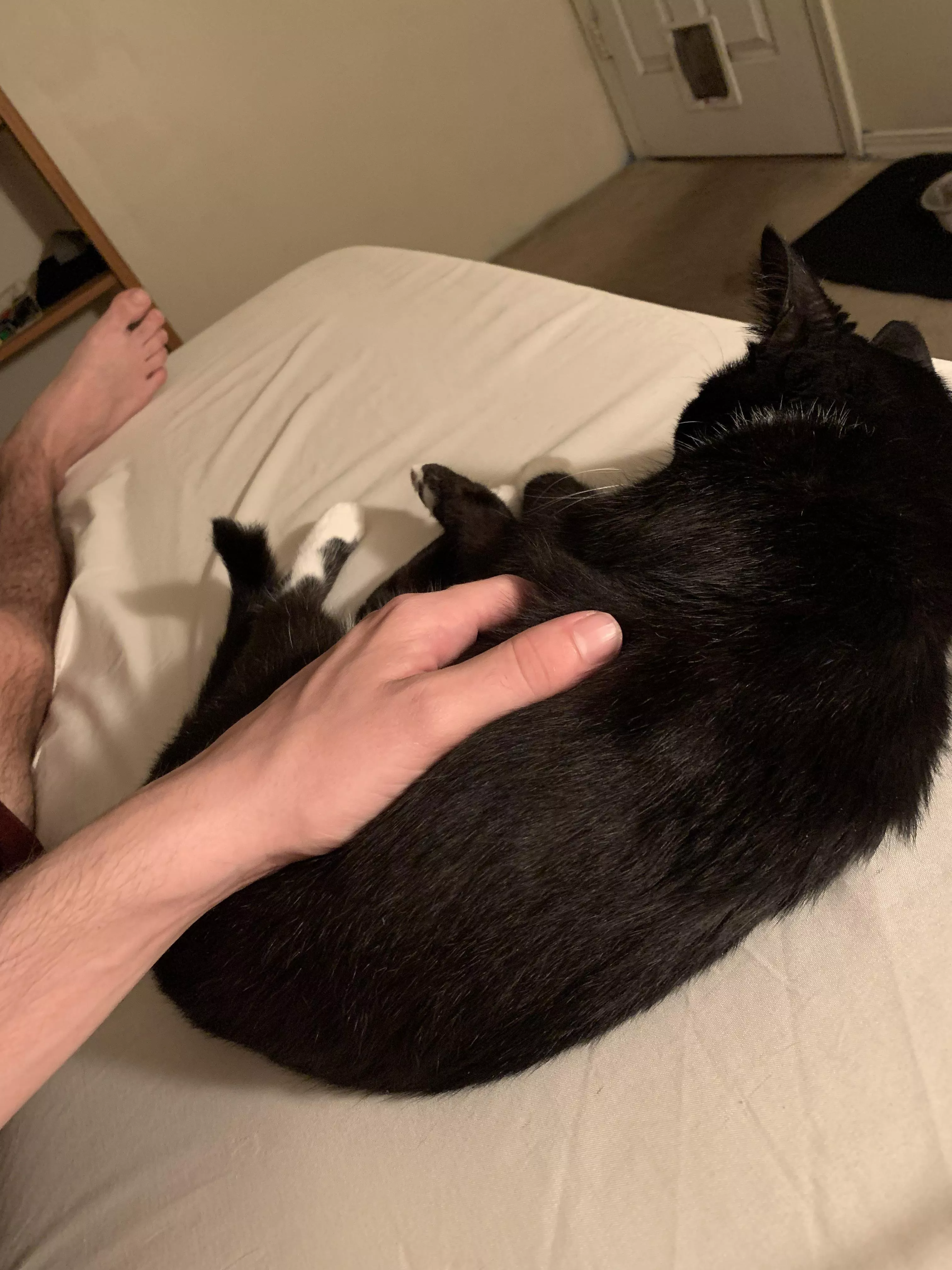 Love sending innocent pics to my straight bros with a foot in there somehow 😏