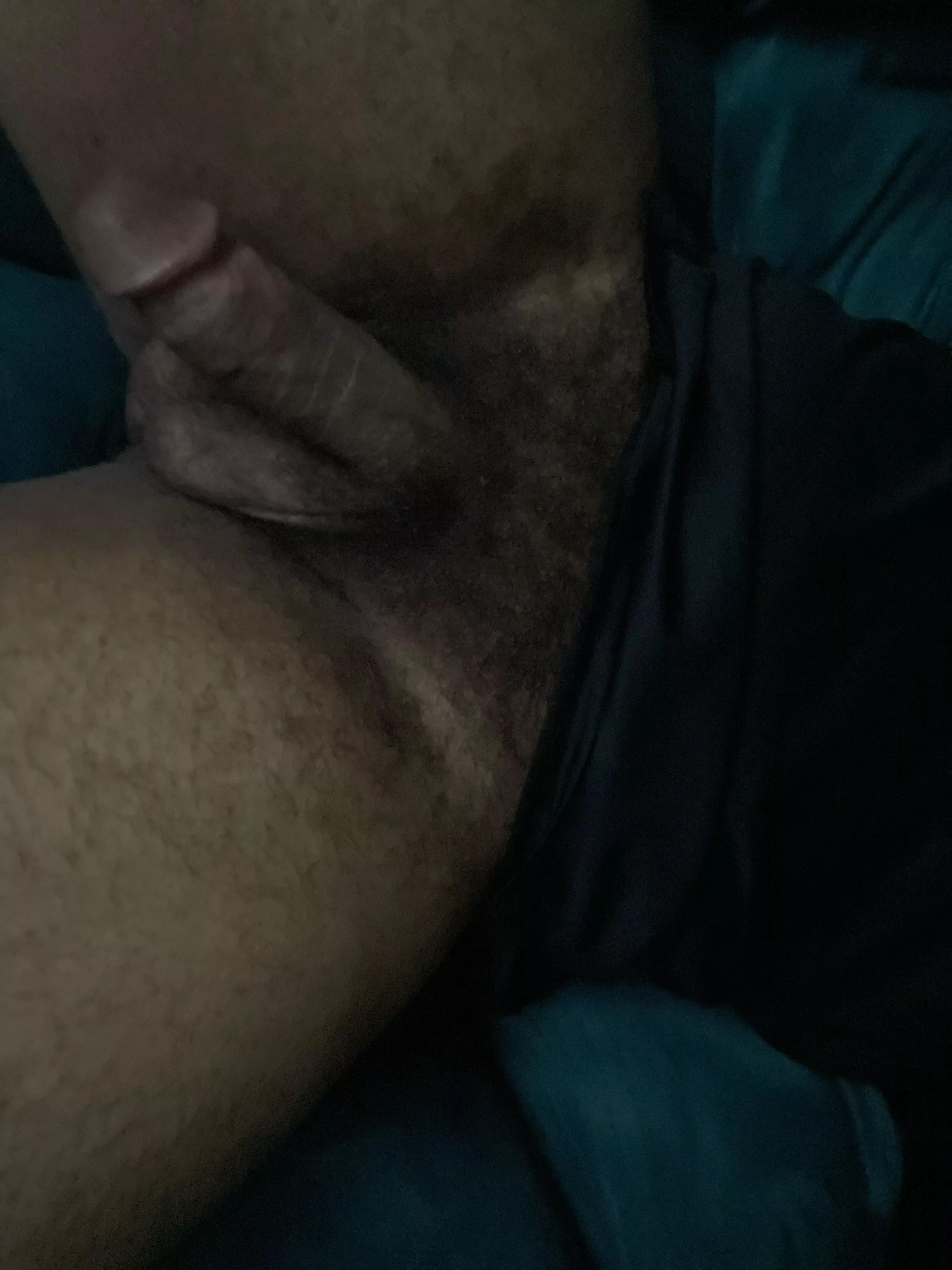 Love the bush today 🤤