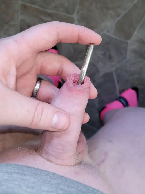 Love to play with my sounds. More fun when there is someone to meet me in the middle though 😜