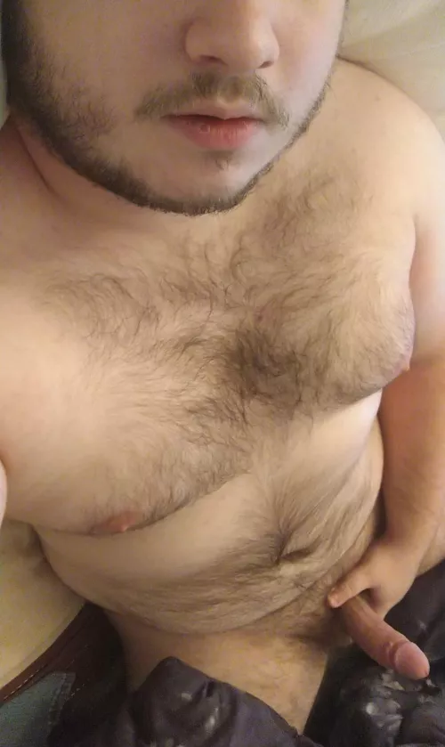 [M][22][IL] Any single ladies or hotwives want to play?