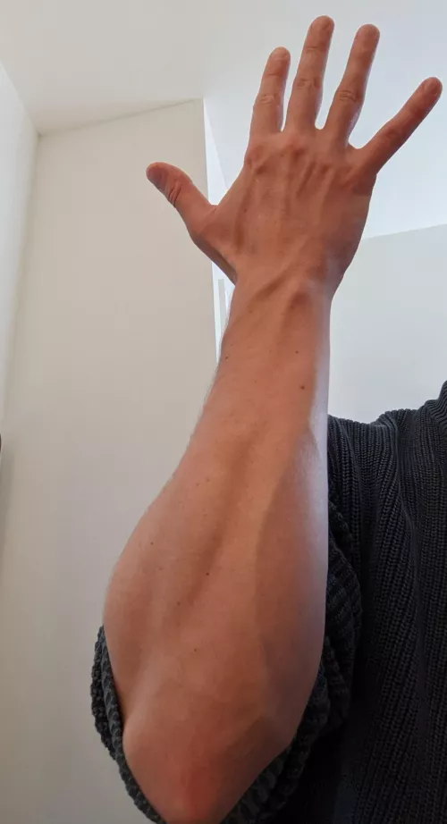 [M26] Rolled my sleeves up for you all