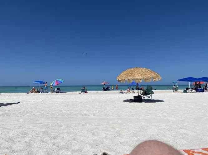 M4fm in Tampa/Orlando/Naples pics on my page dm me