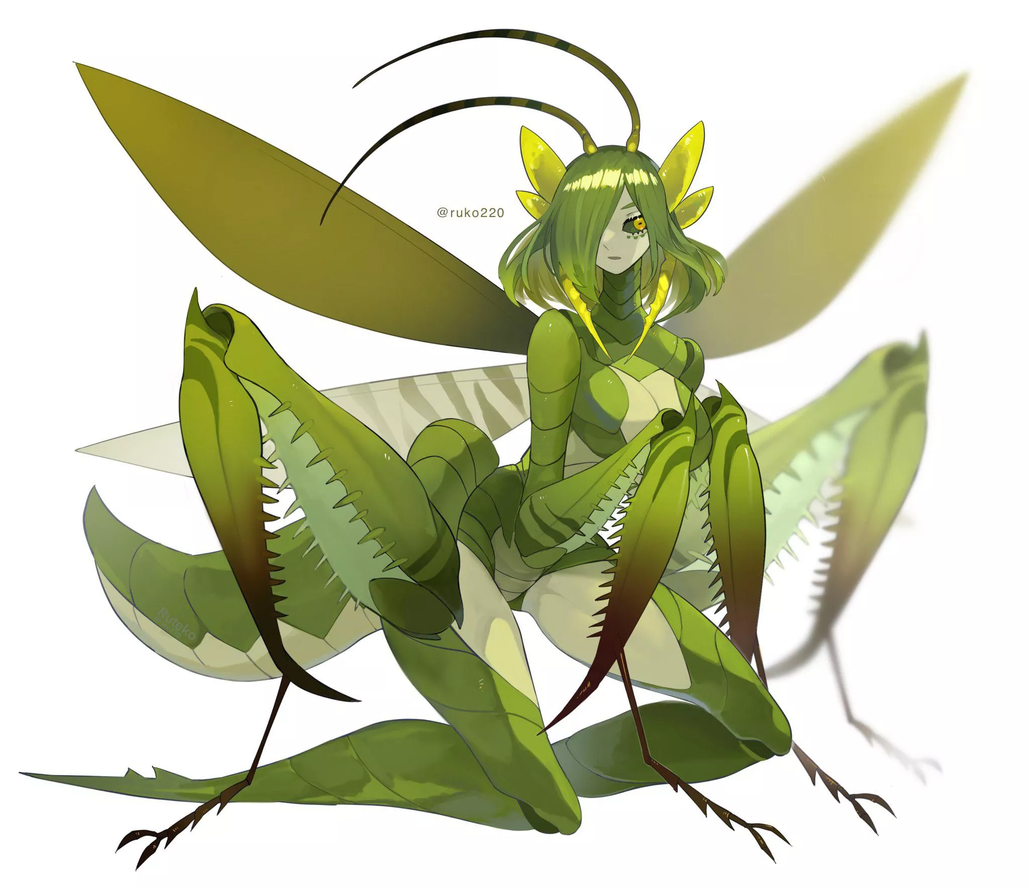 Mantis Eating Nipple