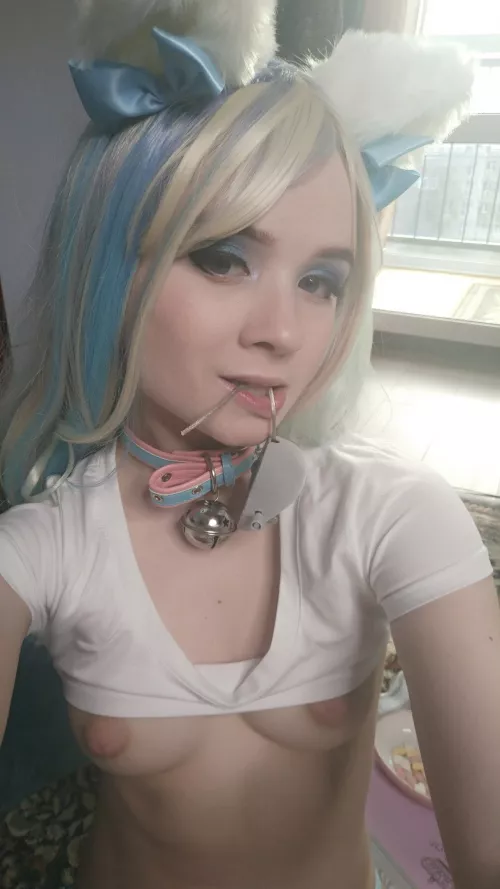 Master, I caught a mouse for you 🤤