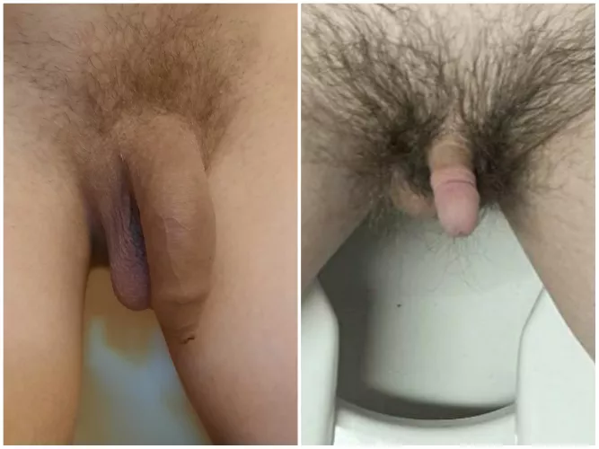 Me vs. u/Pure_Attention_9103 compared soft 😁 He has a real micropenis right there