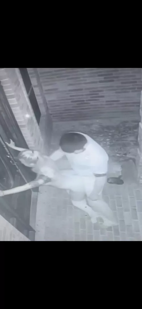 (Mf) some front door fun 🤩