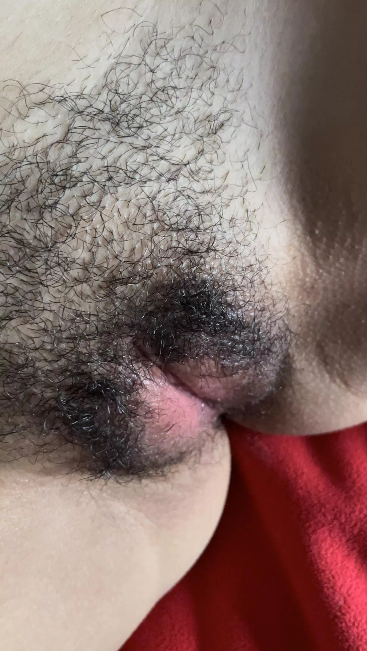 Mind if I rub it on your face?