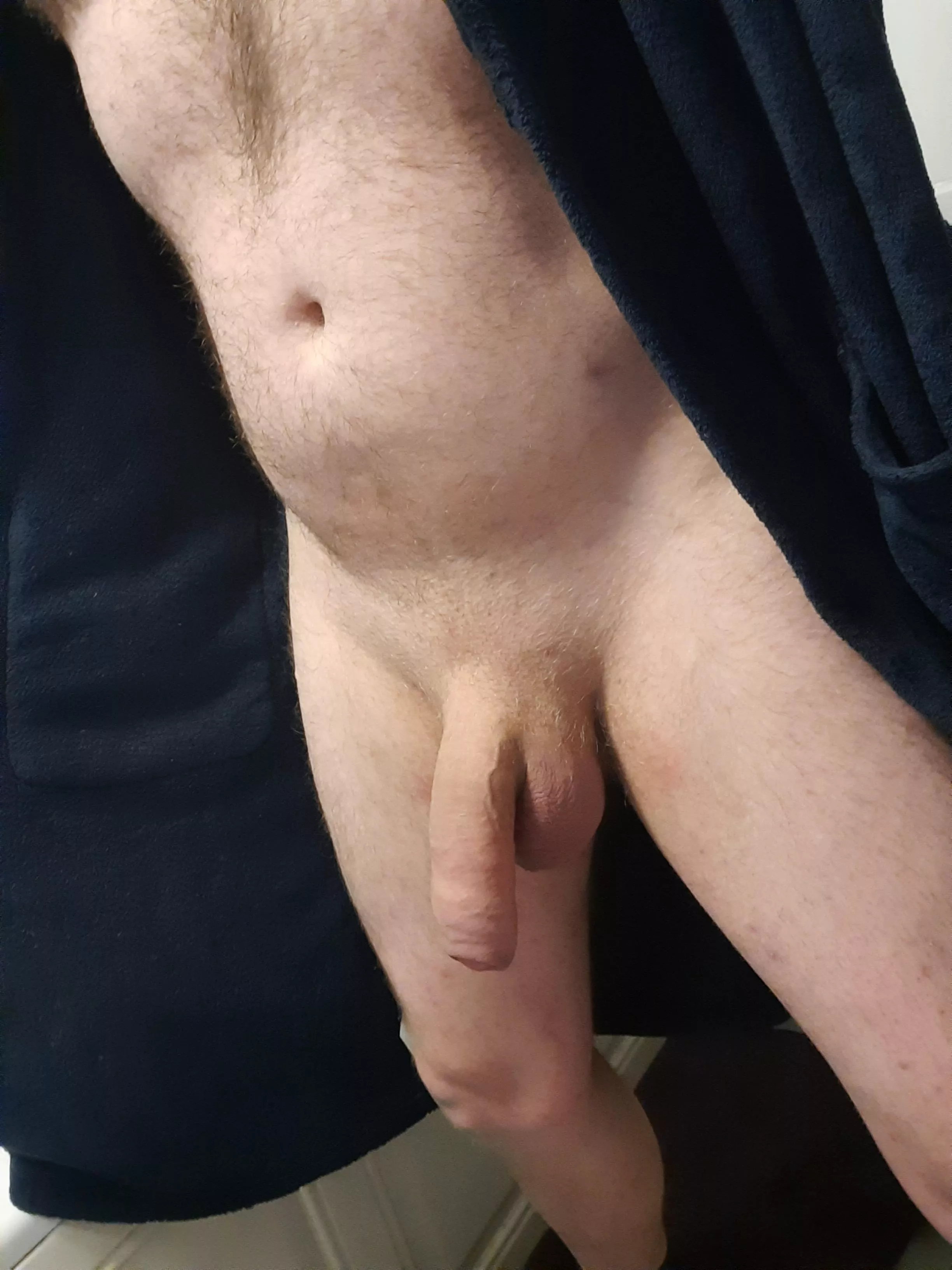 morning cock