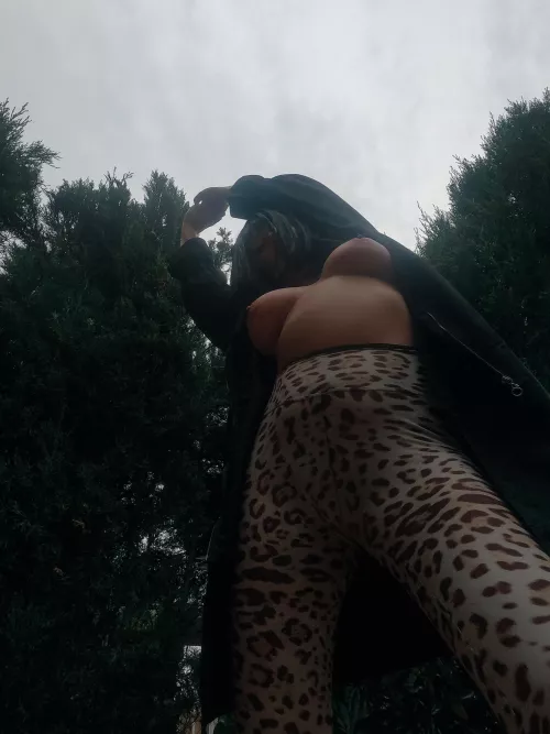 morning stretch 🐆