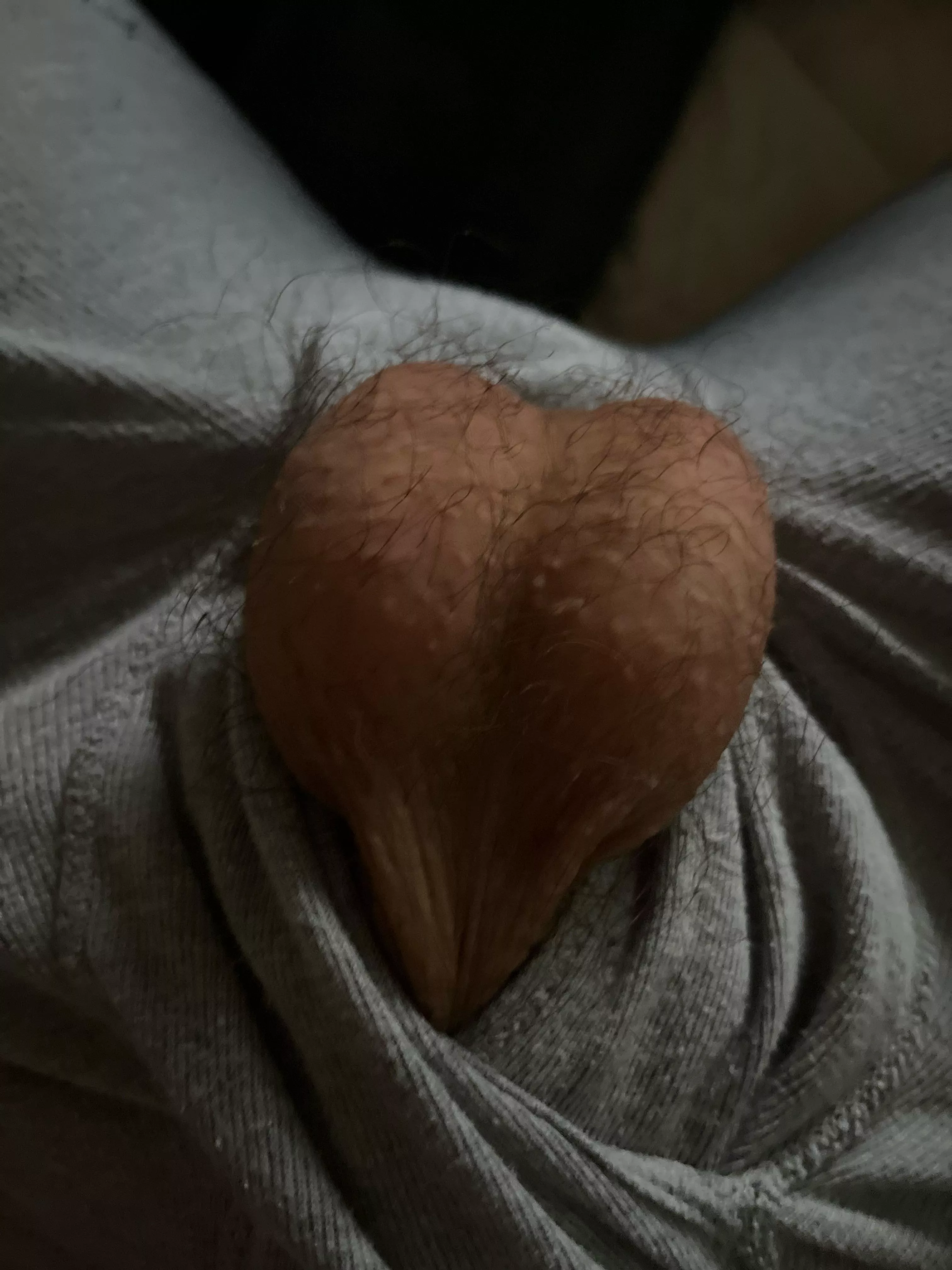 my balls r so droopy rn i have to let them air out