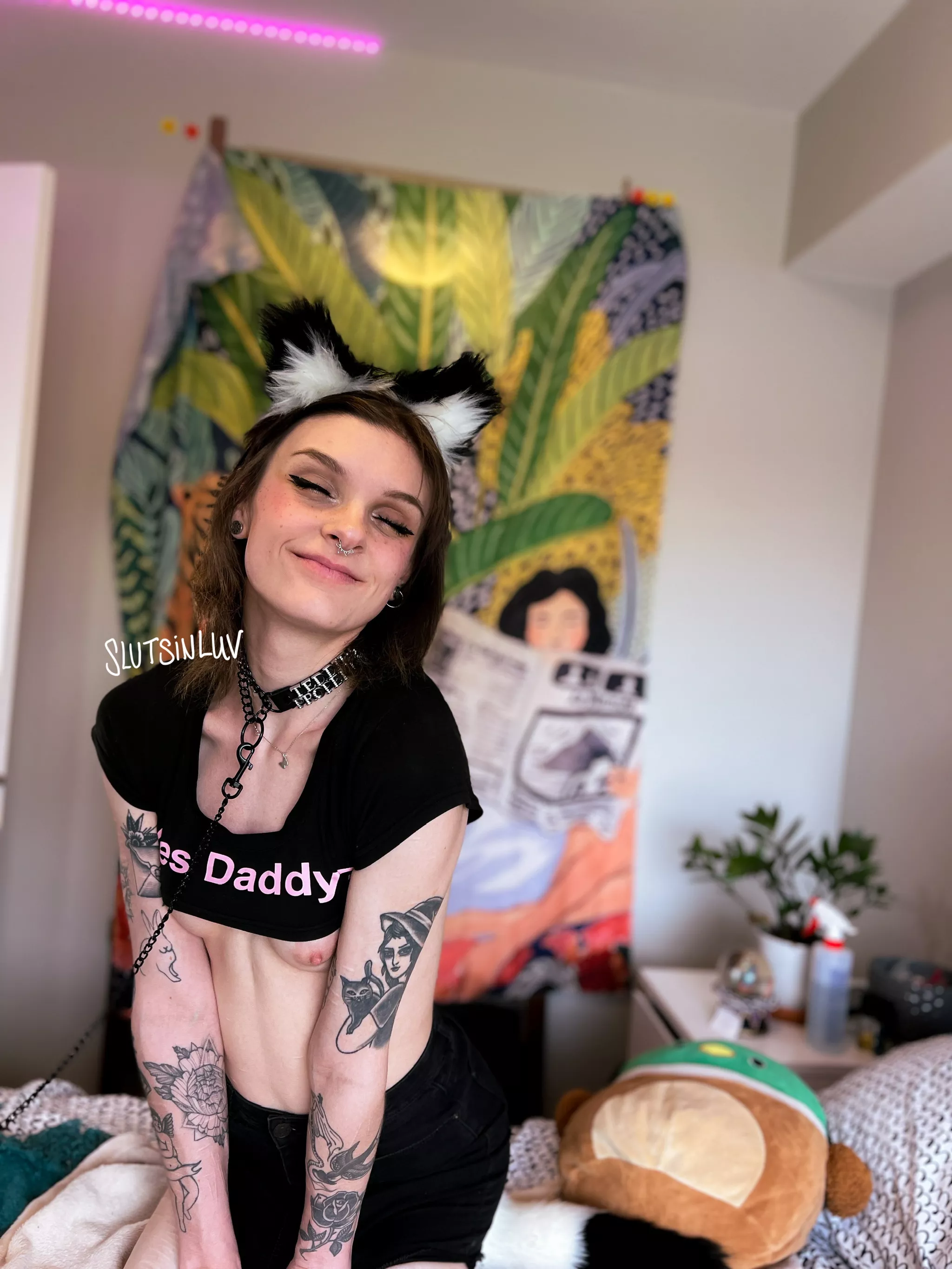 my face when master says i’ve been a good kitty :3