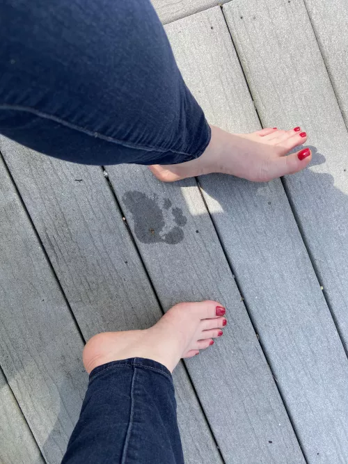 My feet got a little wet playing in the grass, who wants to lick them clean?