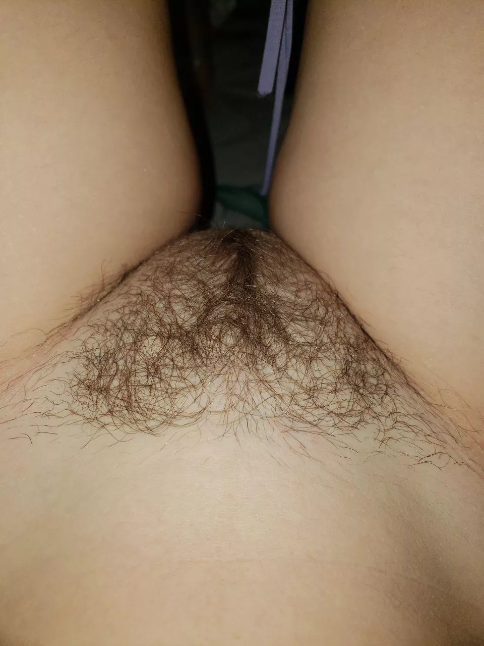My hairy hole💖