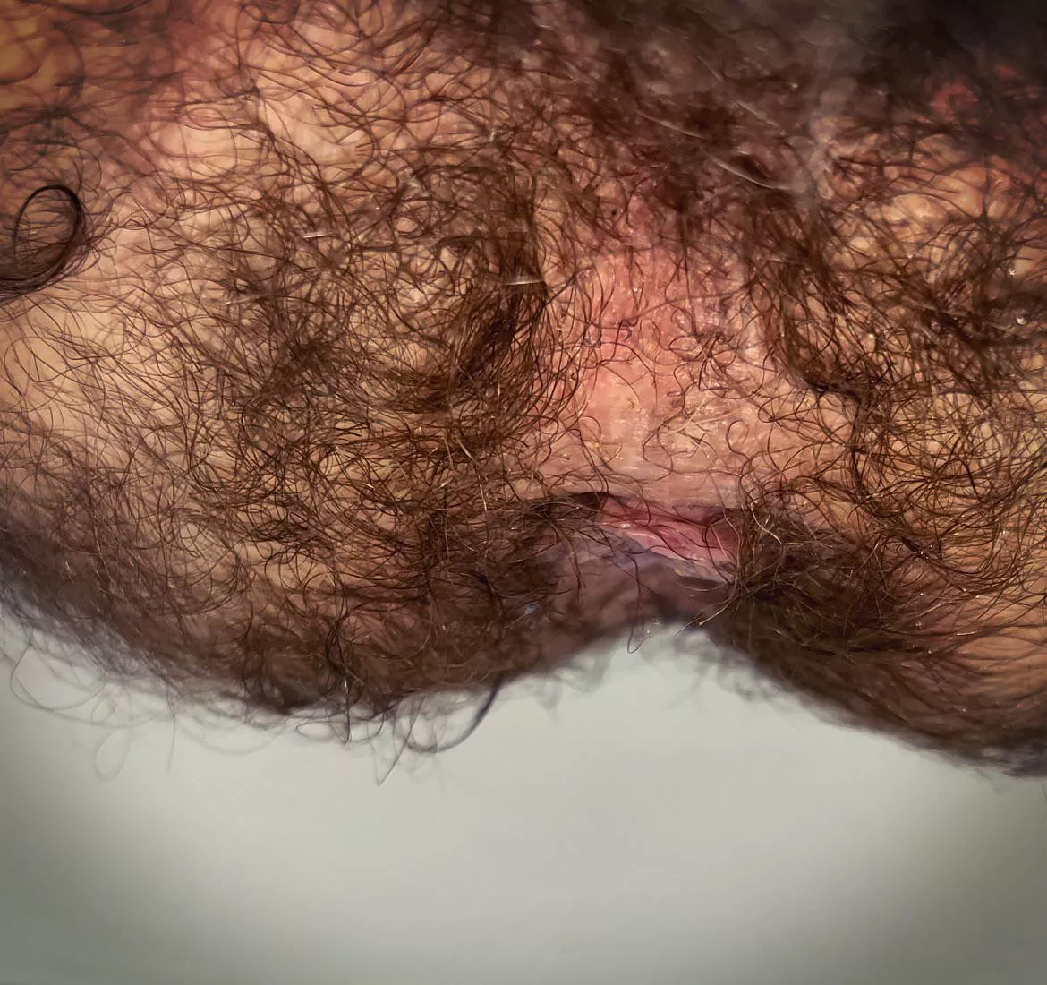 My hole and taint are so damn hairy…..