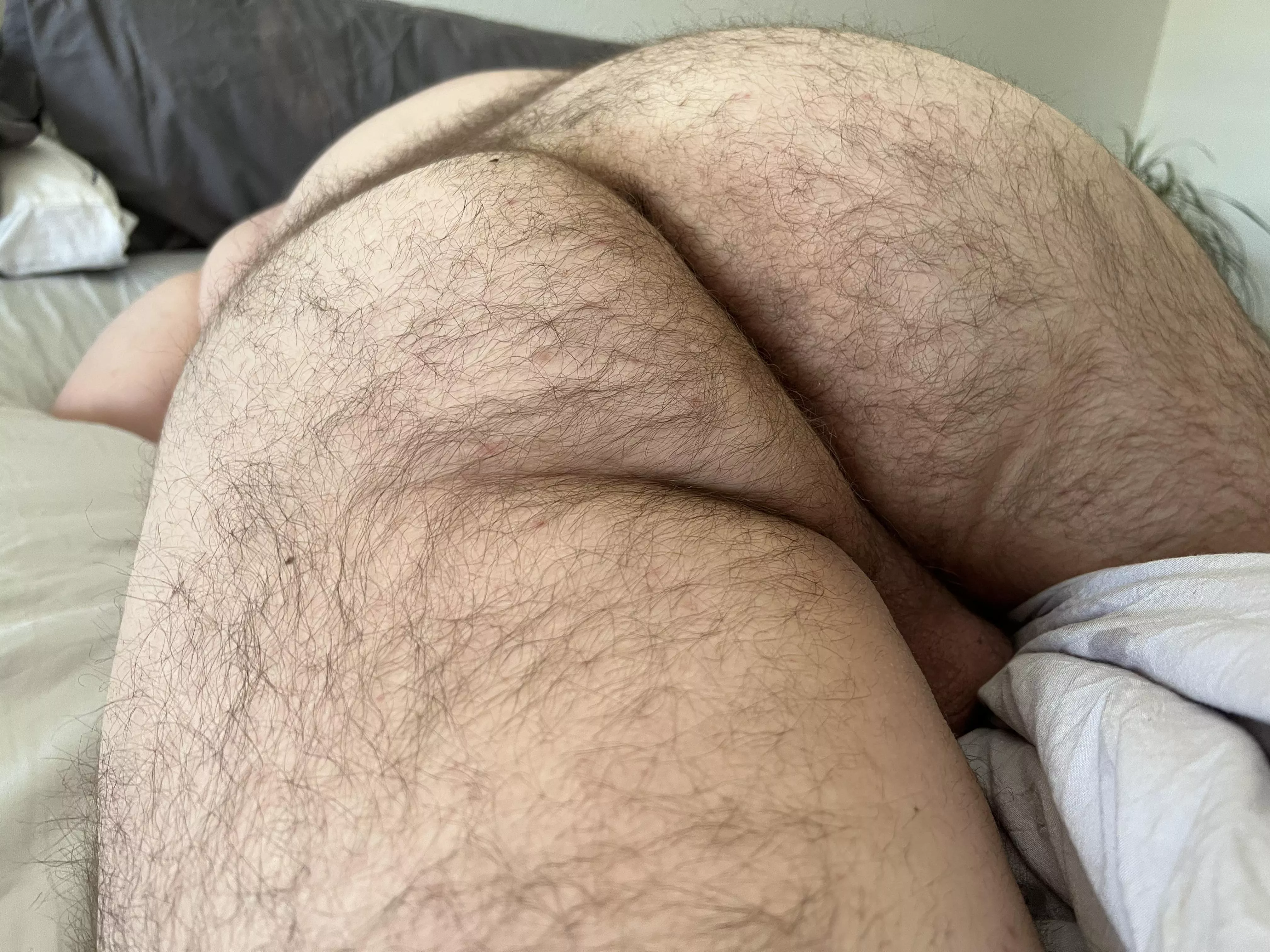 My husbands hairy man ass 😍