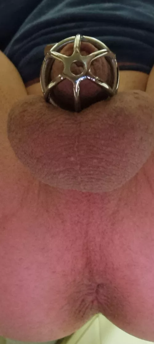 my man pussy needs a good pegging