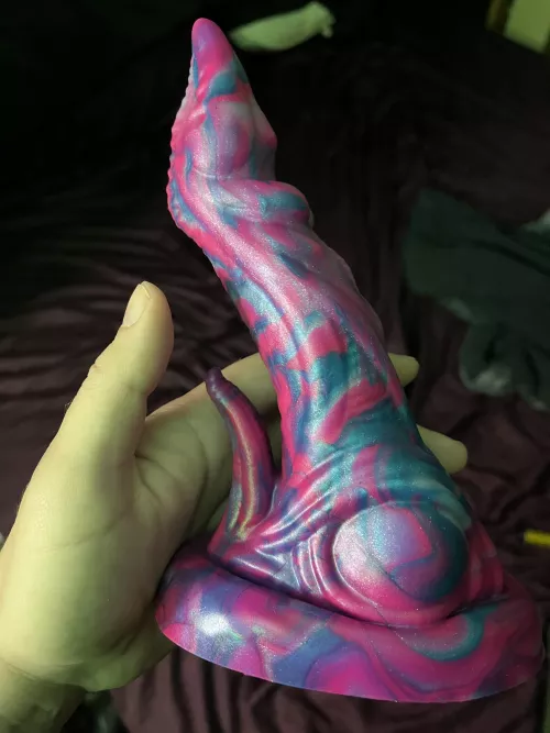 My newest addition (Xerxes)