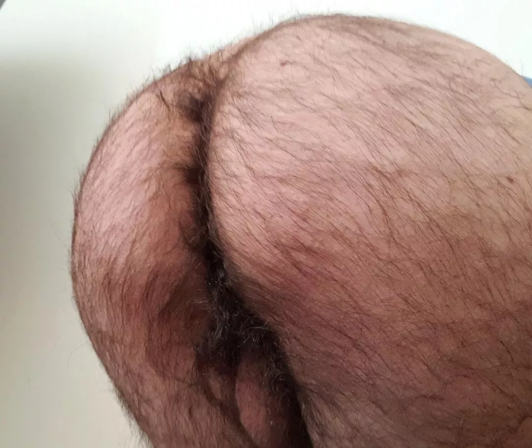 my otter ass is ready for you, dm me ;)