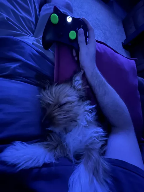 My Overwatch coach dozed off 😋🎮🐶