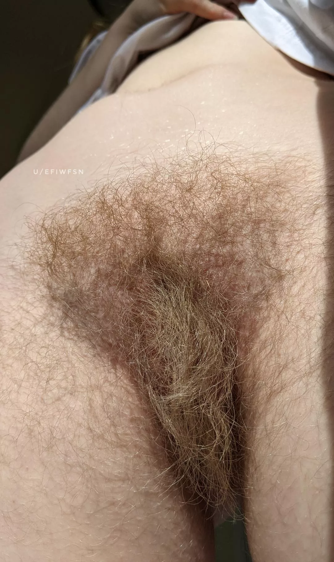 My rug needs to be inspected, is your tongue ready?