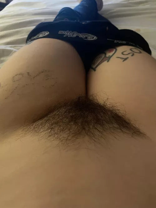 My thick and inviting rug!