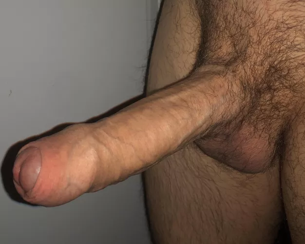 My uncircumcised cock