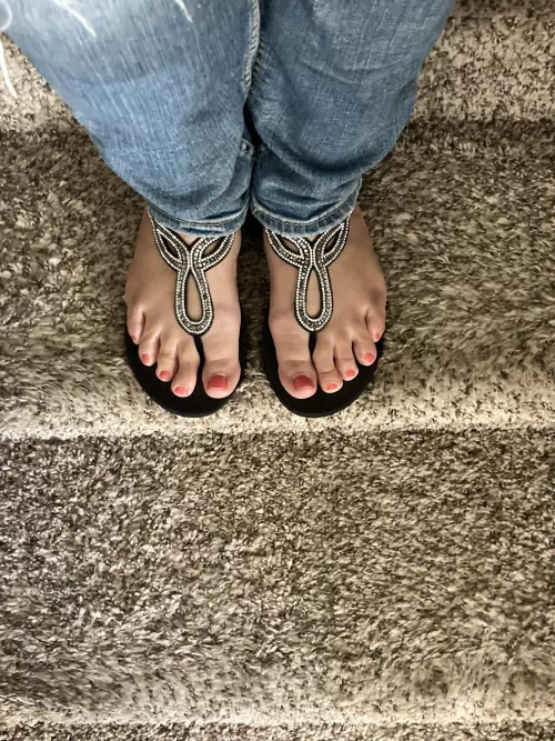 My wife’s feet