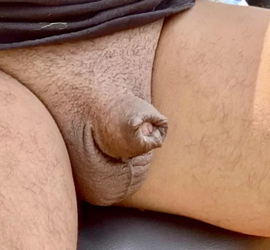 Naked yardwork for today. Let’s hope the misses doesn’t mistake my twig and berries for something that needs to be pruned lol [43]