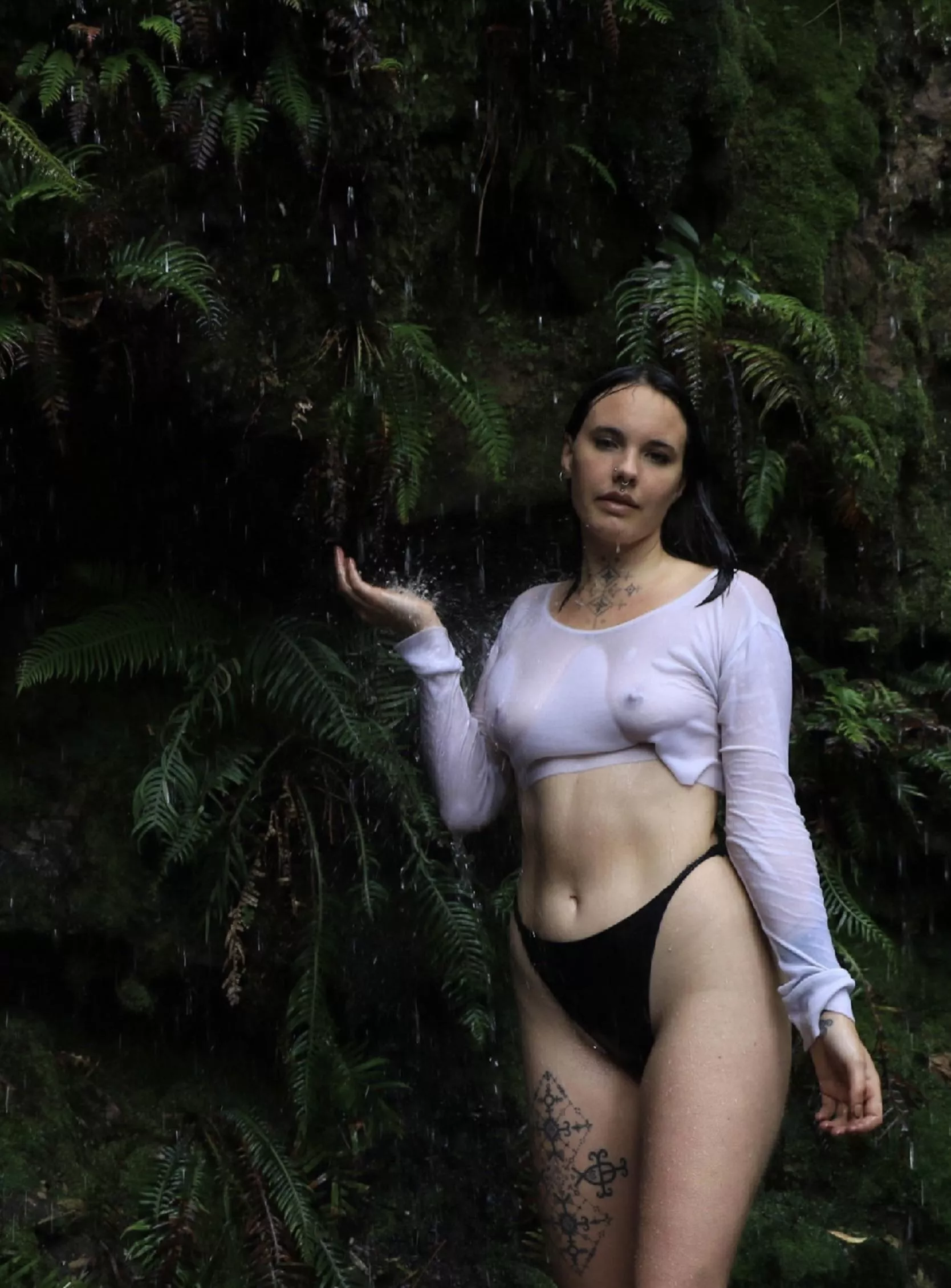 Natures sweet nectar 🦋💧