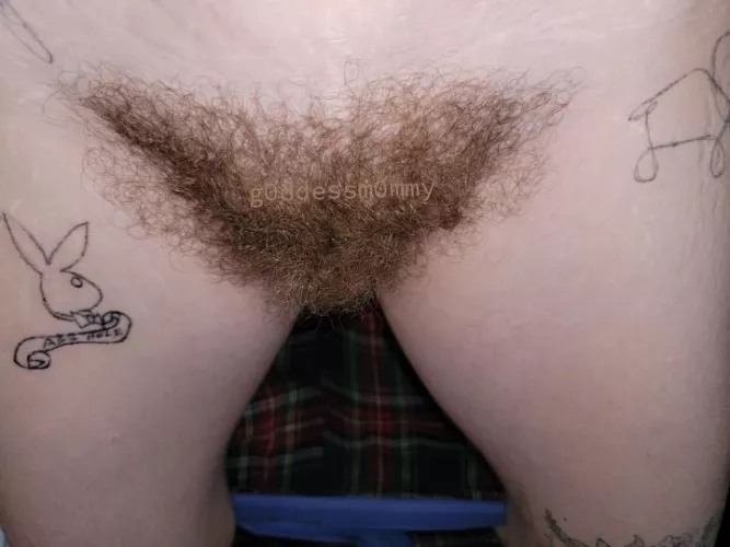 need an exploration of my bush