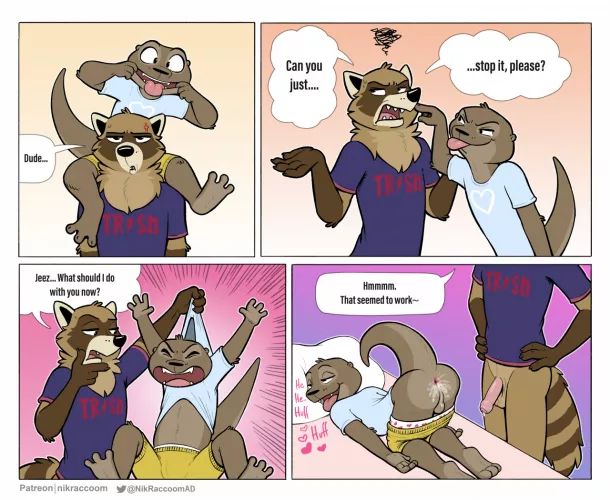 Never annoy a raccoon! (NikRaccoon)