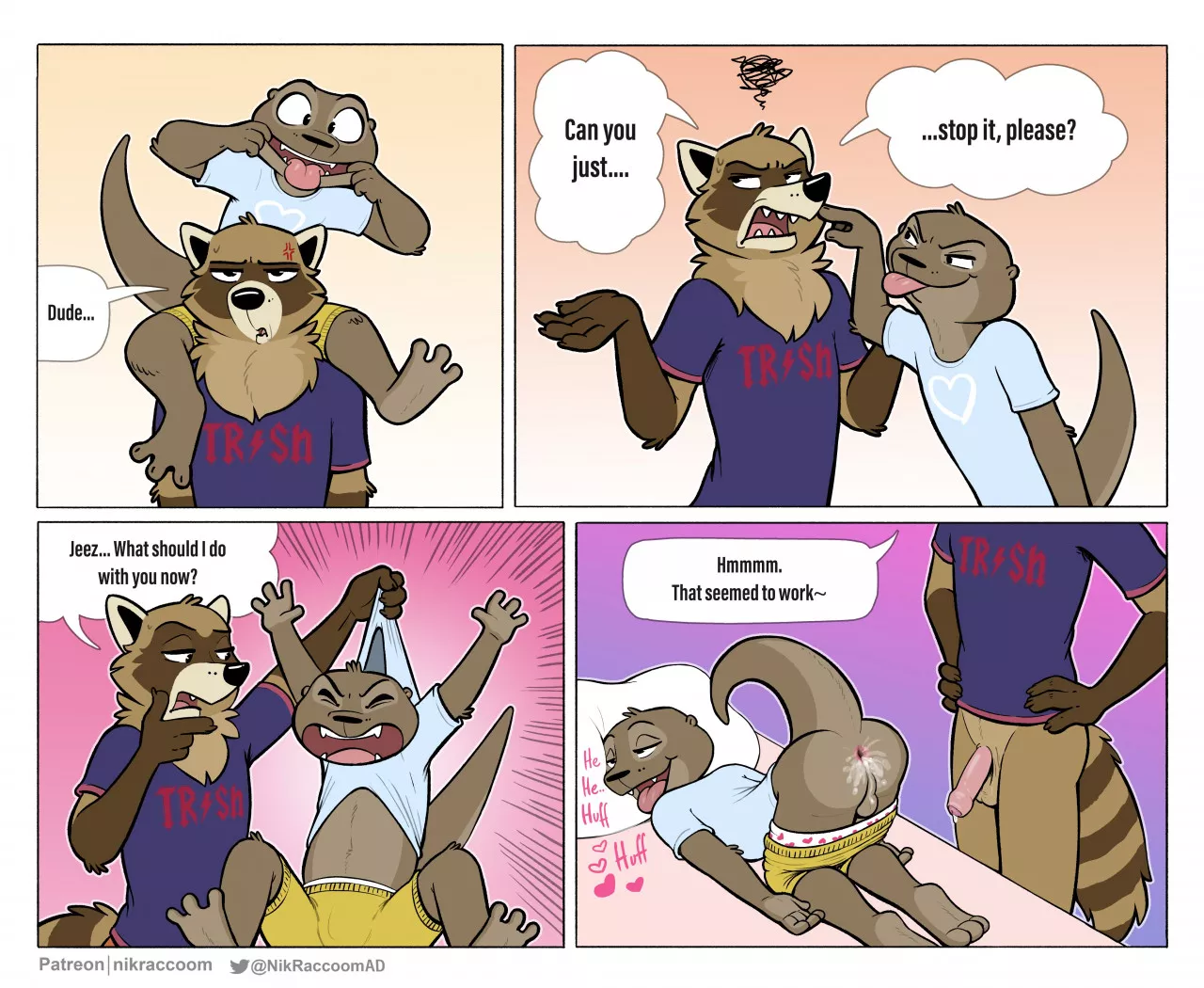 Never annoy a raccoon! (NikRaccoon)