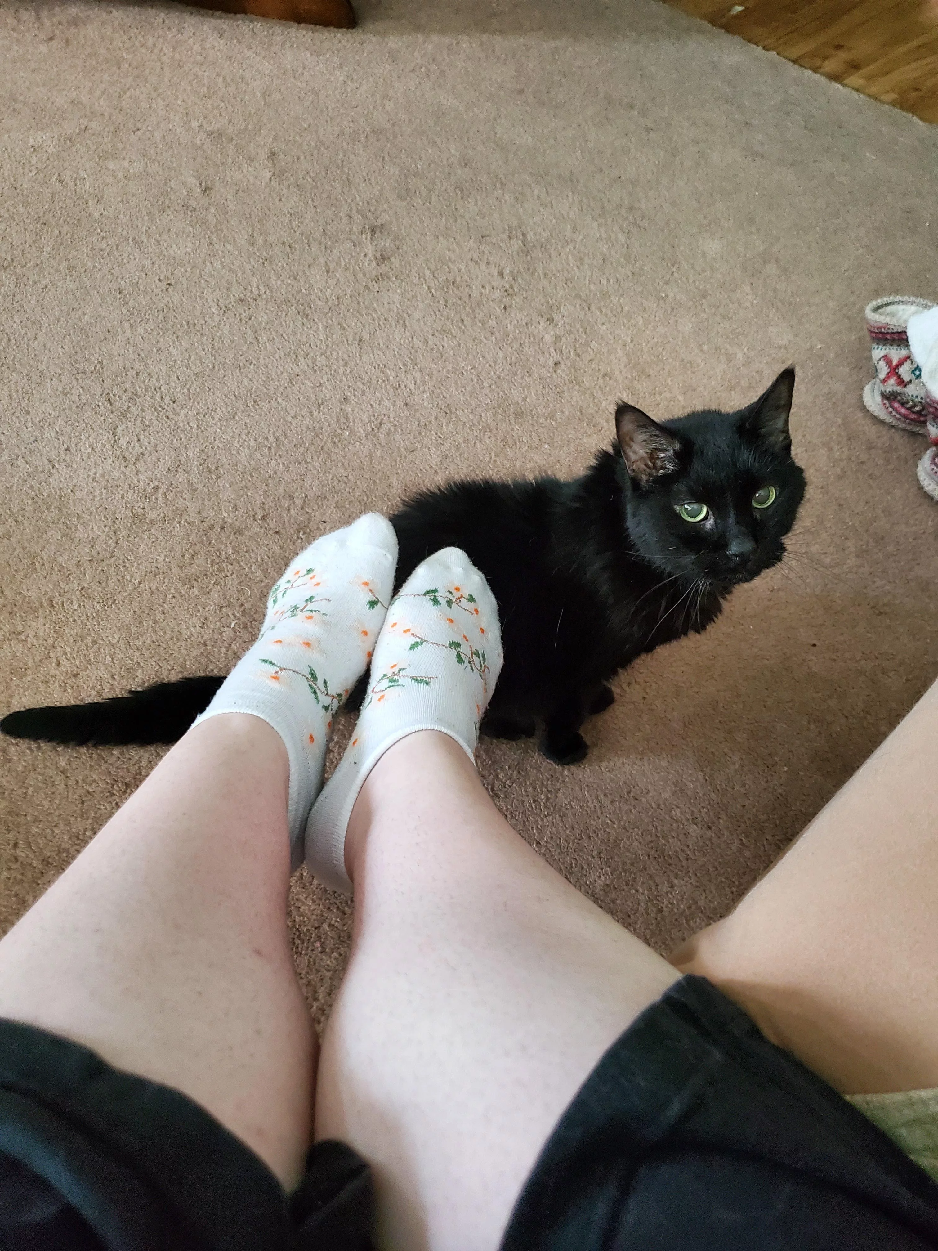 New cute socks ❤️