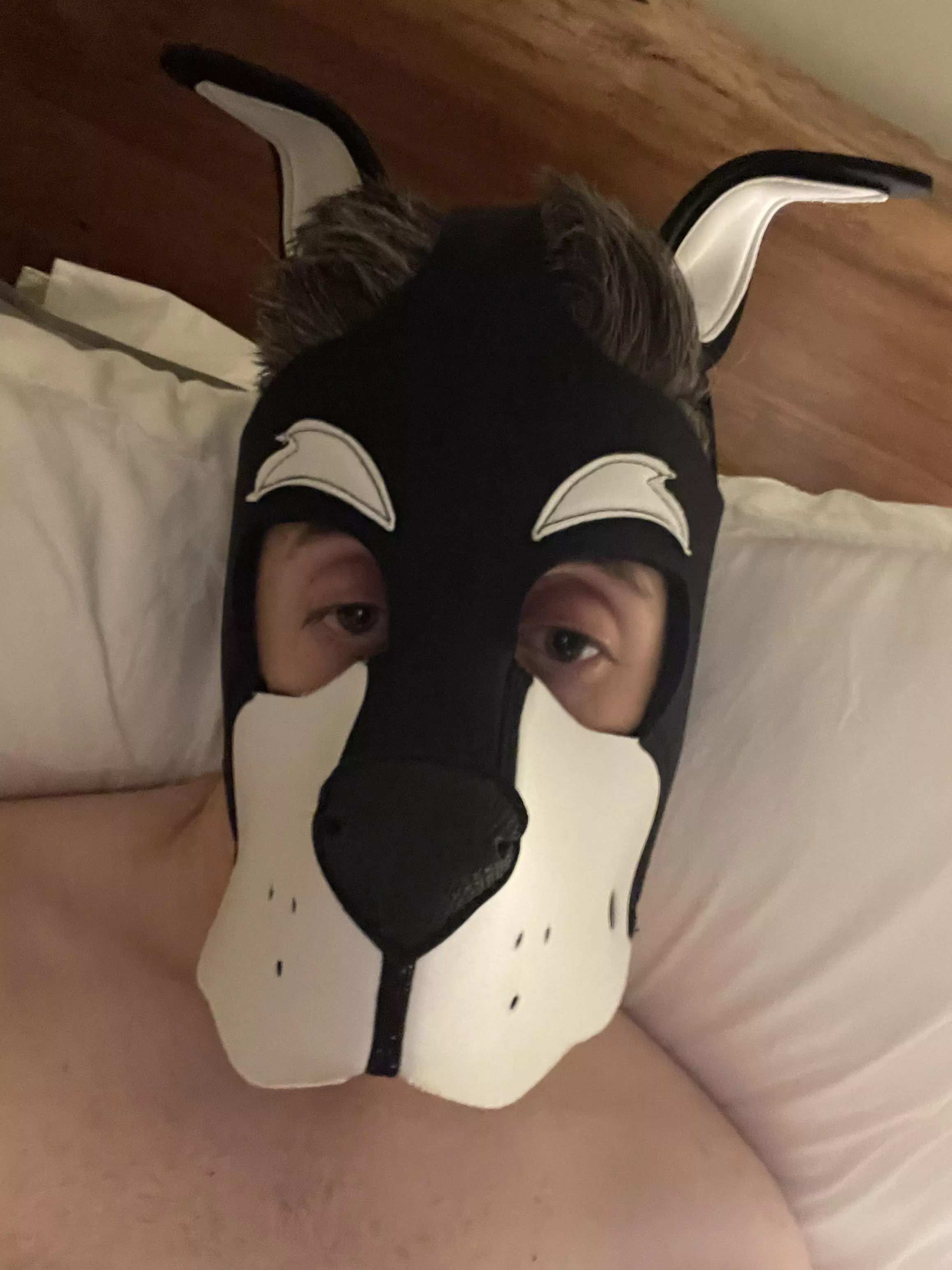 New pup around! 🐶