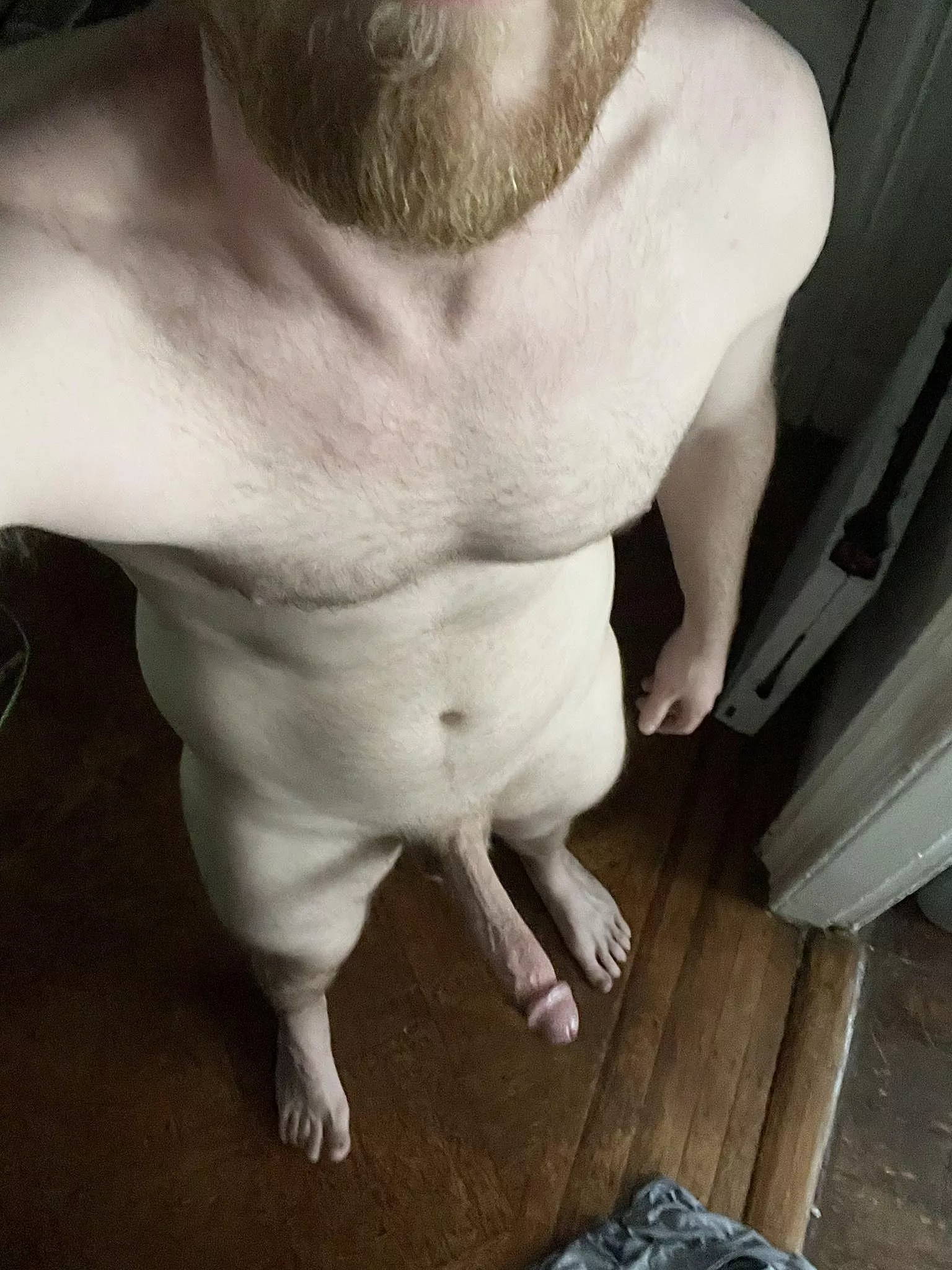 Not usually into breeding talk, but who wants some 6’4 Ginger genes?
