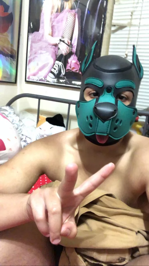 Nyc pups or Las Vegas Friends?