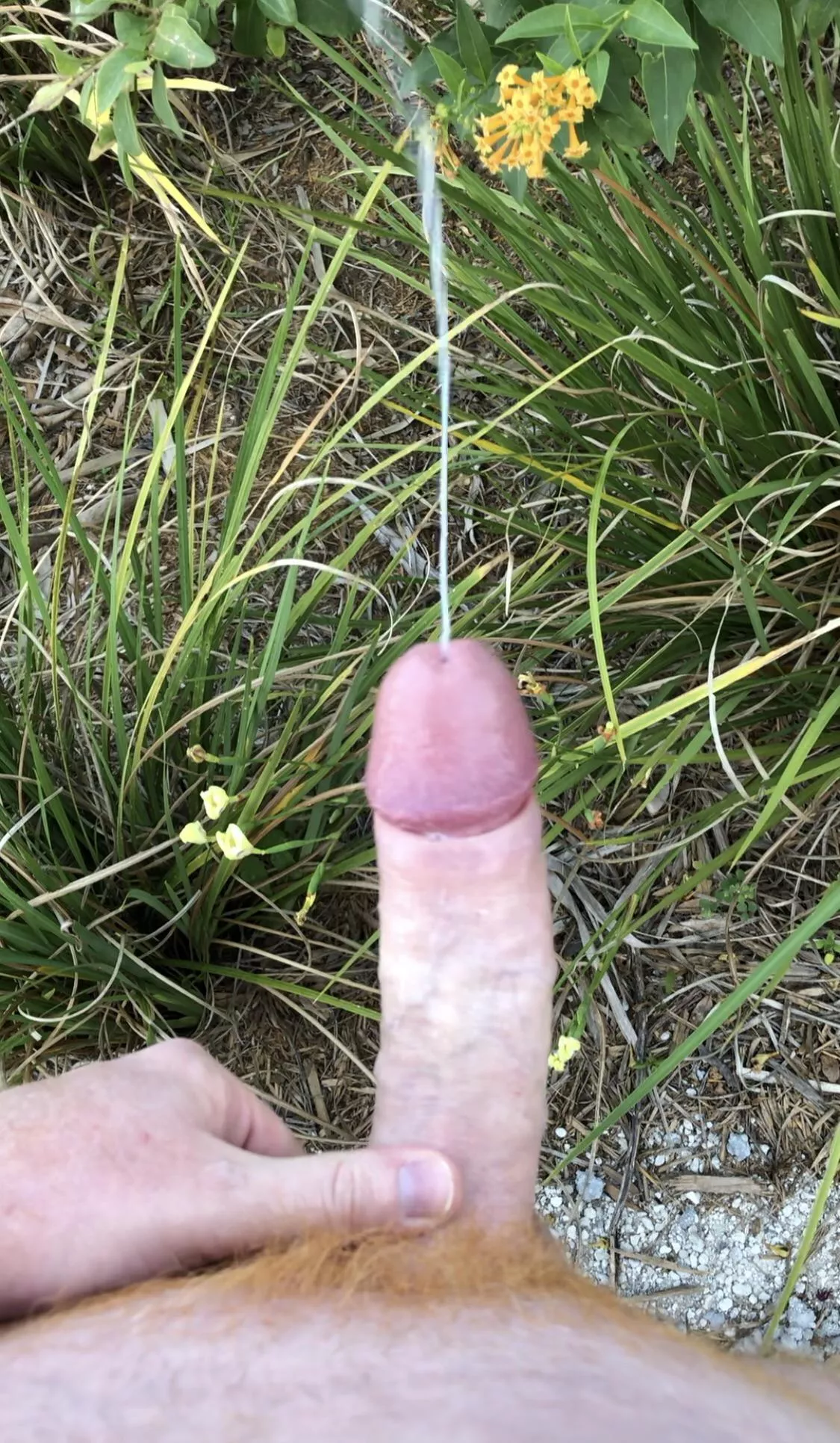 [OC] I came so hard I had to hide in the bushes