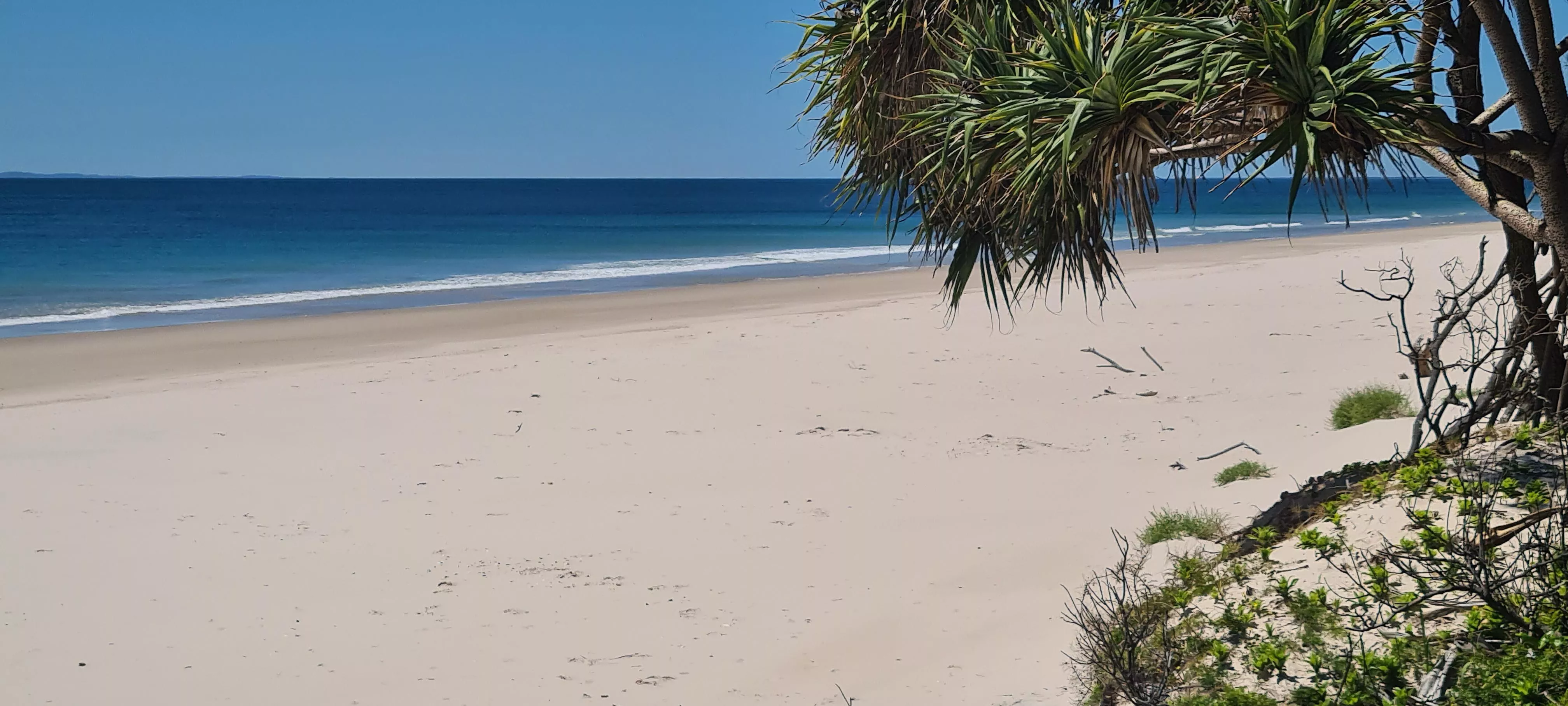 Ocean Beach, Bribie Island, QLD Australia. (northern end) (OC)